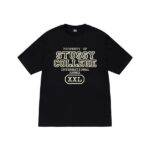Propriété DE Stussy T Shirt