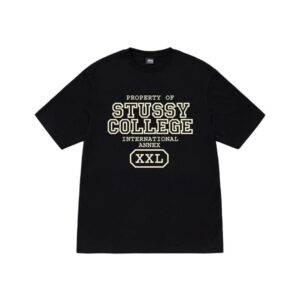 Propriété DE Stussy T Shirt